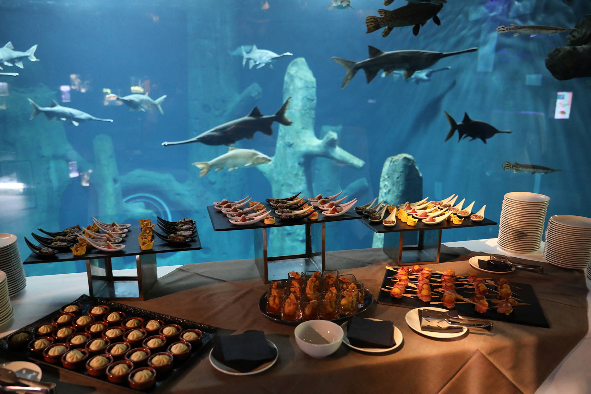 AQUATIS Aquarium-Vivarium Lausanne