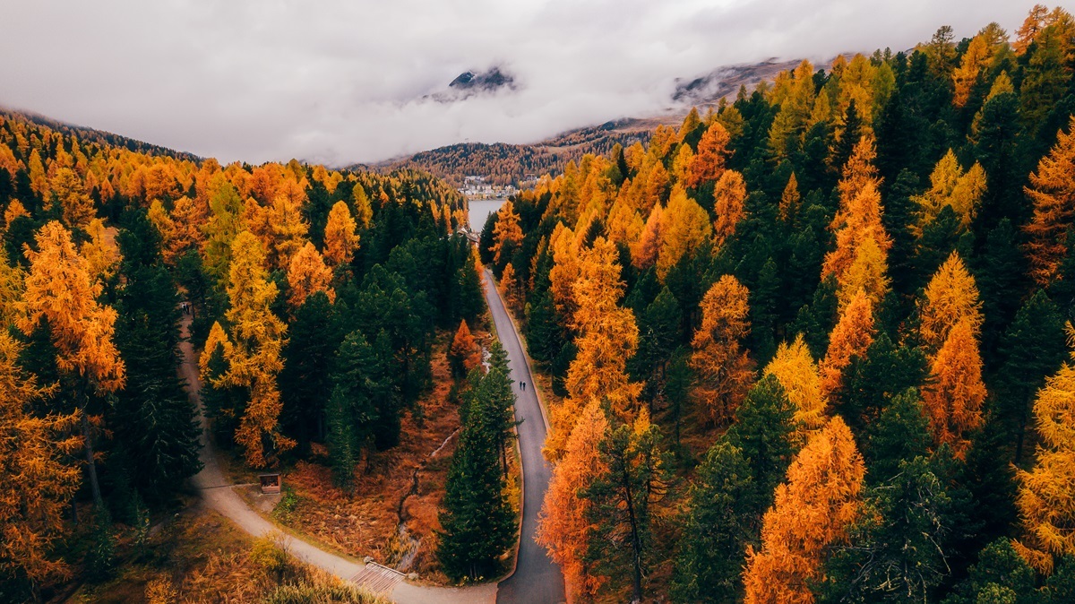 Autumn special