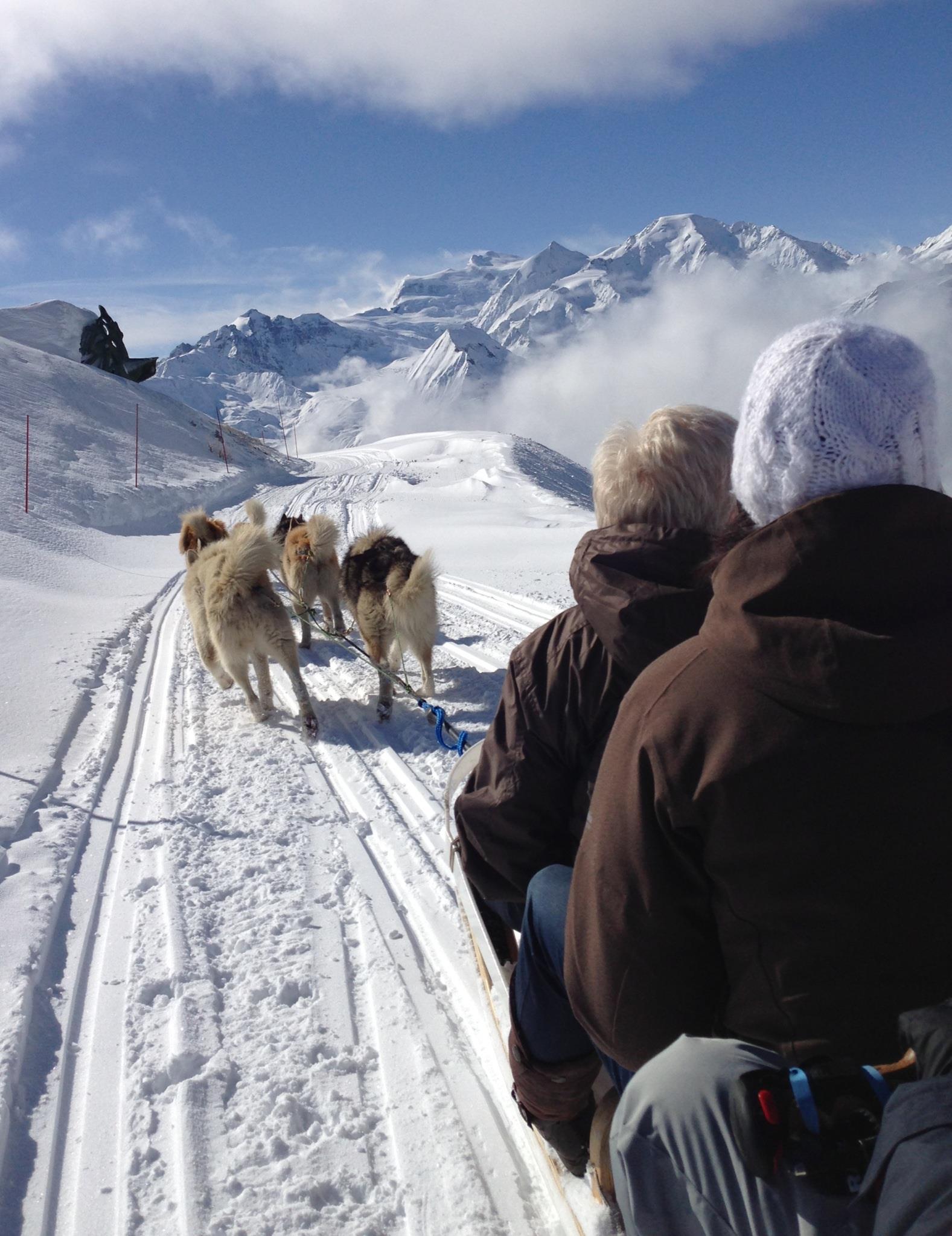 Snowy ride with sled dogs Switzerland Tourism