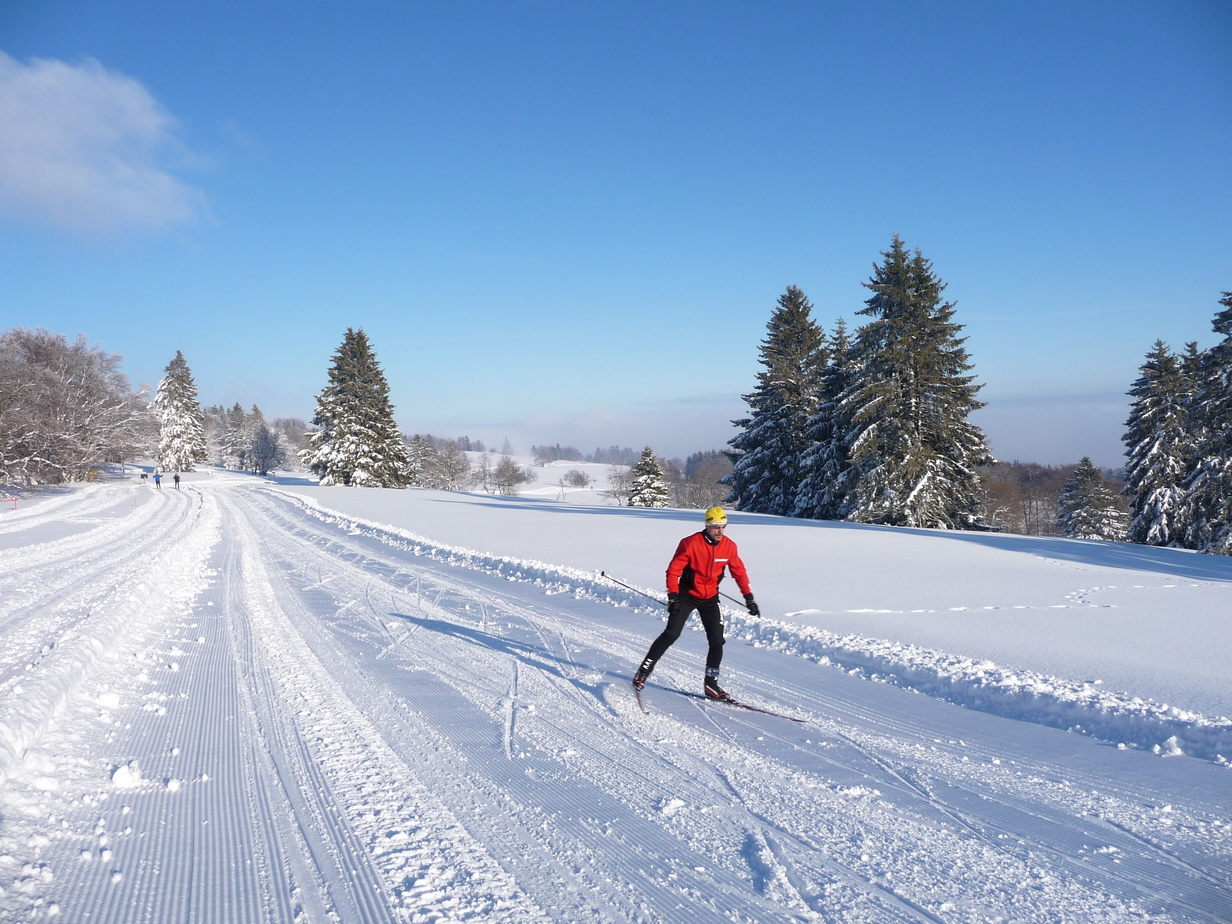 Участки лыжник. Лыжня "Левковская гора". Трасса для лыж. Лыжи на лыжне. Зимняя Лыжня.