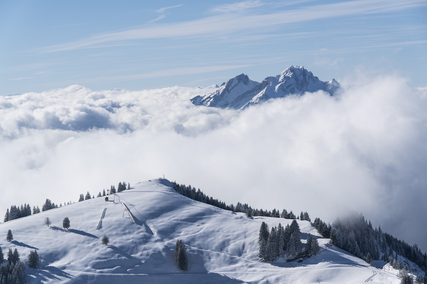 Rigi
