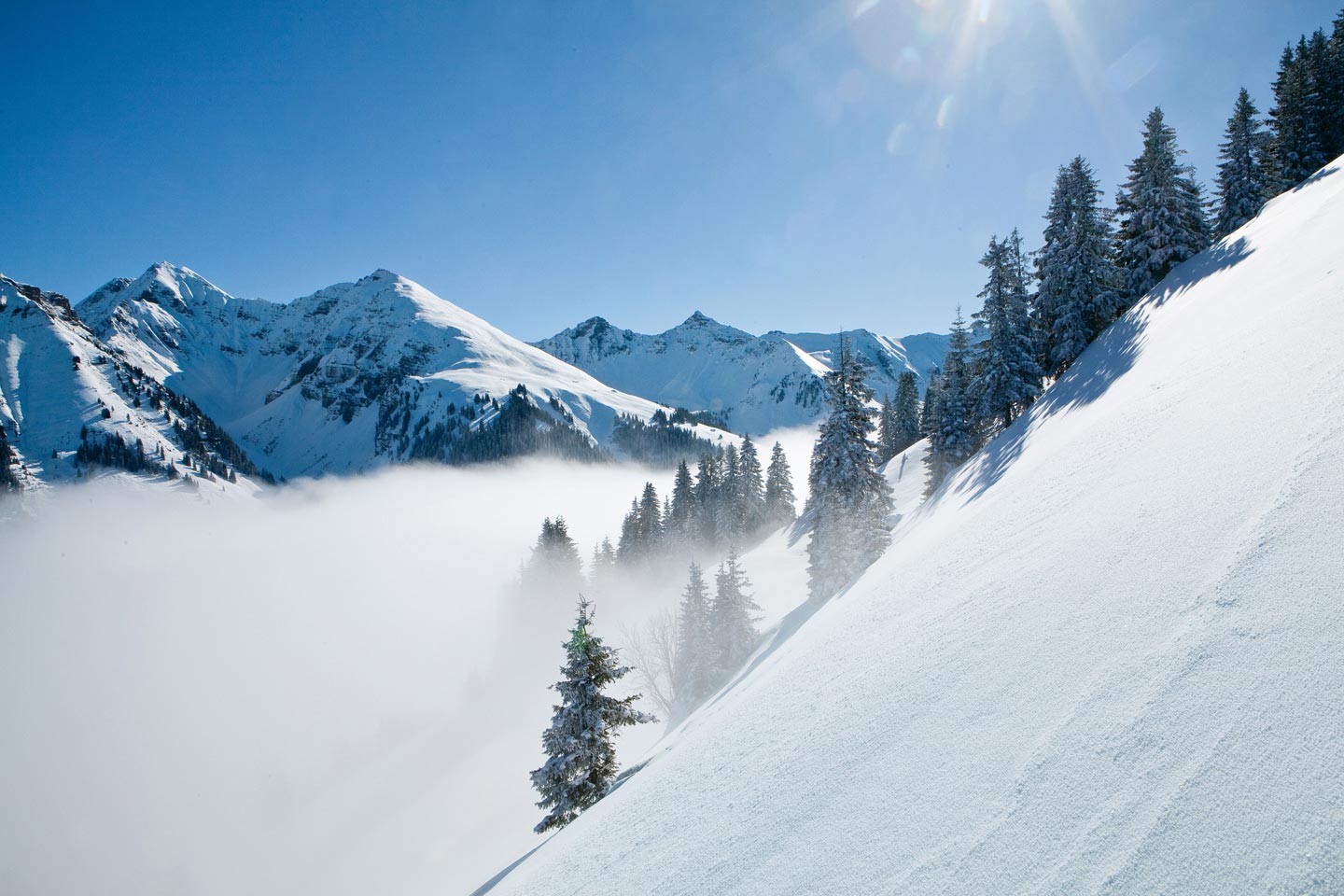 Diemtigtal - Wiriehorn