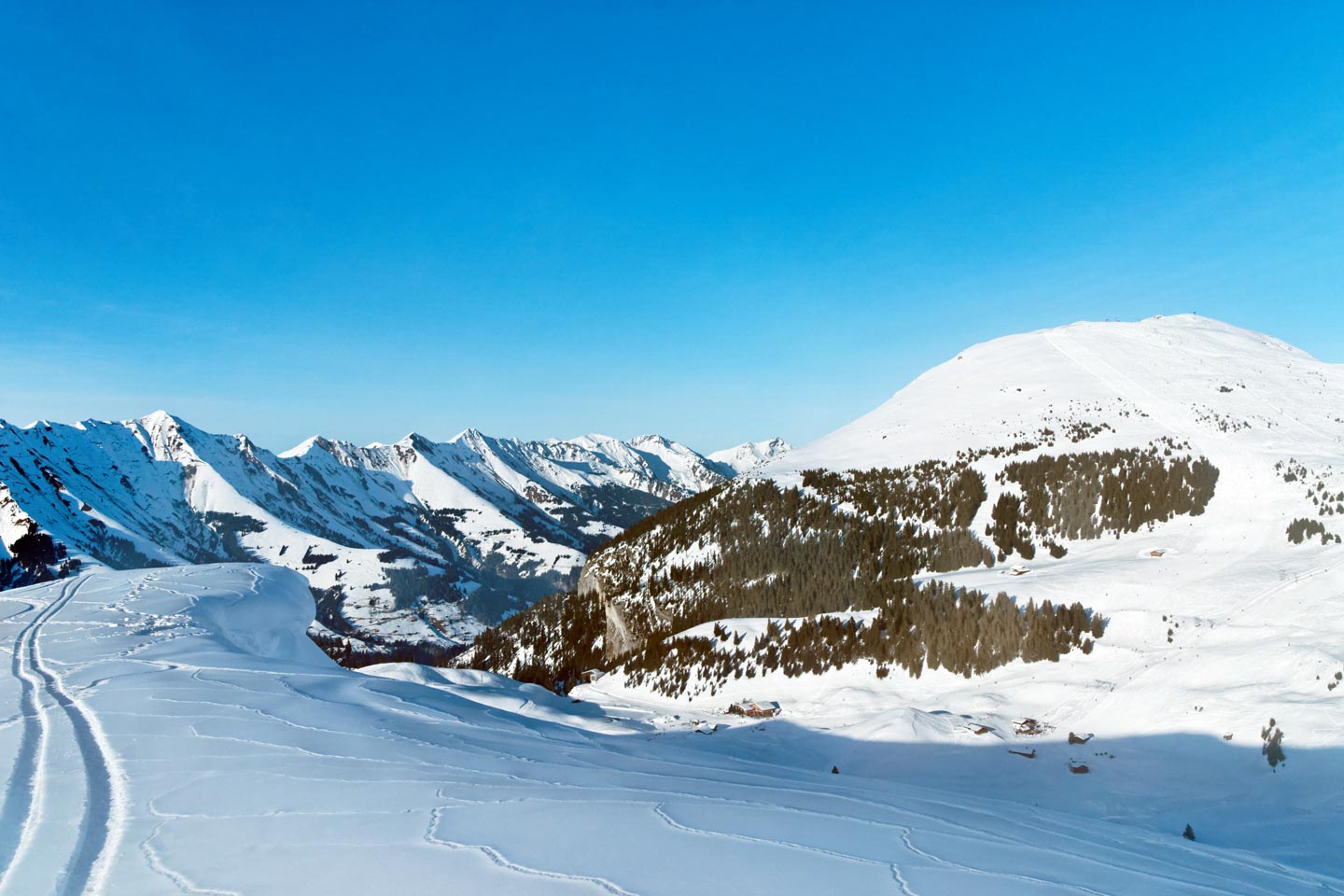 Frutigen Elsigen-Metsch